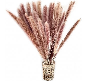 Tatopa Pampas Grass Dried Decoration Pack of 30 - Durable Pampas Grass for Dried Flowers Decoration - 43 cm Dried Flower Bouquet Pampas Grass Decoration Flowers - Natural Brown DIY Bouquet Decoration for Home Decoration